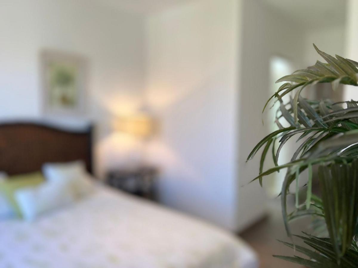 Casas Vacacionales El Deseo By Picsa Administracion Villa San Miguel de Allende Eksteriør bilde
